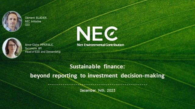 Sustainable finance: beyond reporting to investment decision-making