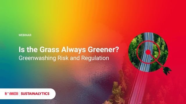 Is the Grass Always Greener? Greenwashing Risk and Regulation