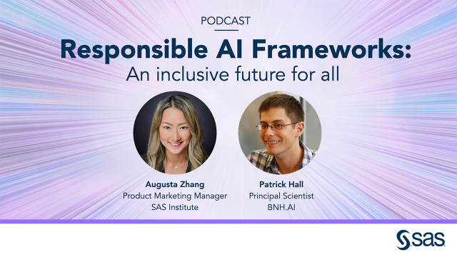 Responsible AI Frameworks: An inclusive future for all