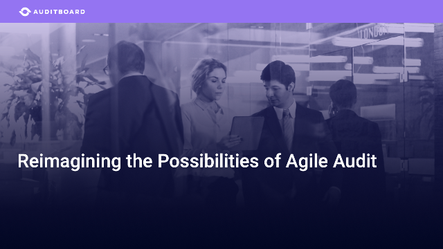 Reimagining the Possibilities of Agile Audit