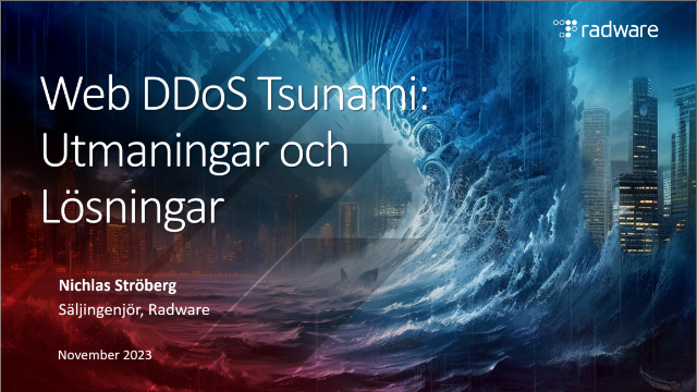 Web DDoS Tsunami: Utmaningar och Lösningar