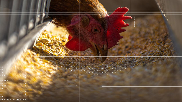 Importance of Modeling for Sustainable Food Systems