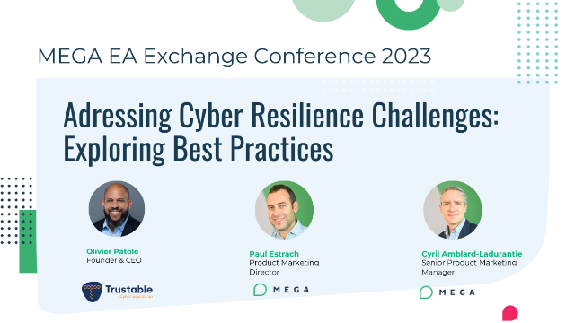 Addressing Cyber Resilience Challenges: Exploring Best Practices