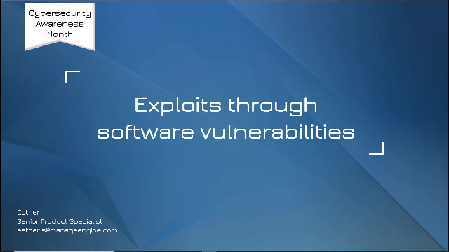 A Comprehensive Look at Software Vulnerability Exploits and Defense