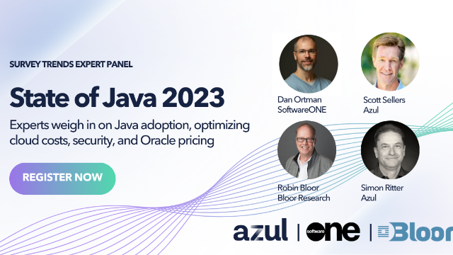 Survey Trend Expert Panel: State of Java 2023