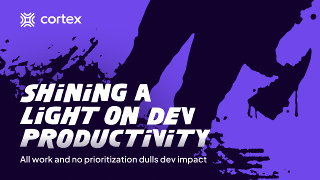 Shining a Light on Developer Productivity