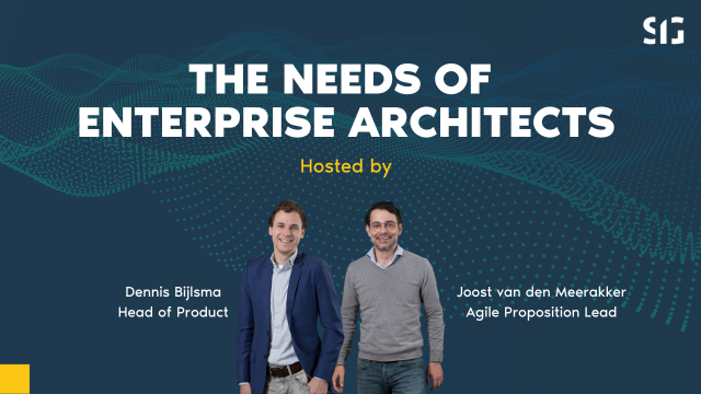 The Needs of Enterprise Architects