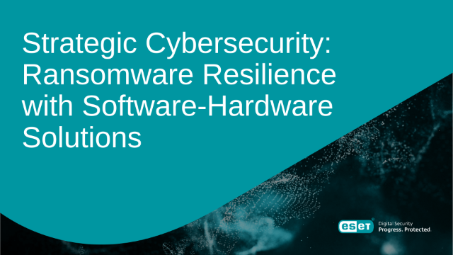 Strategic Cybersecurity: Ransomware Resilience with Software-Hardware Solutions